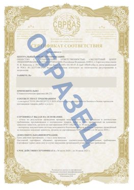 Образец Сертификат СТО 01.064.00220722.2-2020 Городище Сертификат СТО 01.064.00220722.2-2020 